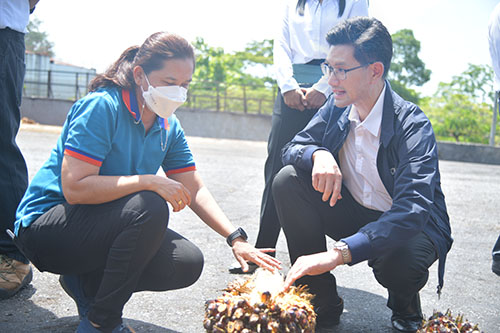 พาณิชย์ลงพื้นที่ติดตามการรับซื้อเเละตรวจเครื่องชั่งปาล์มน้ำมัน