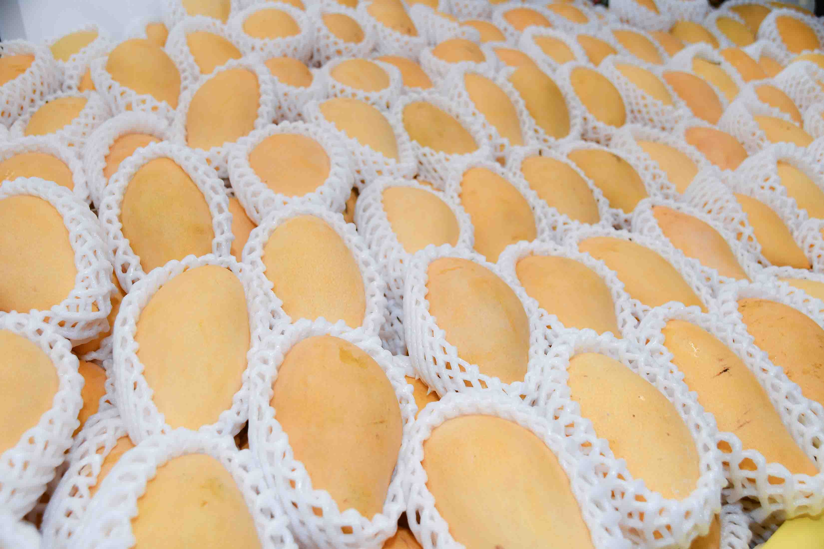 อธิบดีเปิดงานเทศกาลมะม่วงและผองเพื่อน