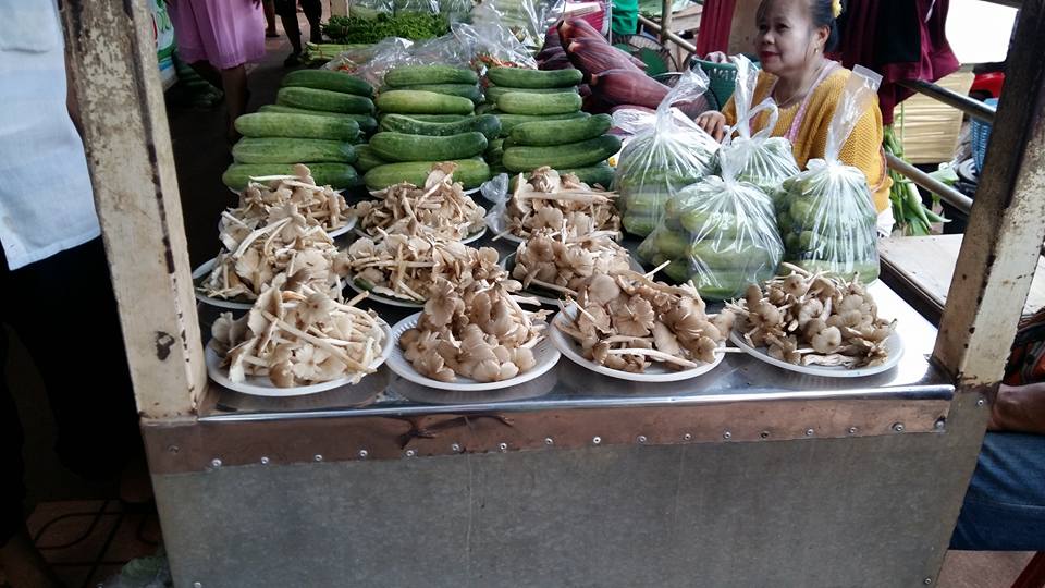 33967_แผงค้า ผัก.jpg