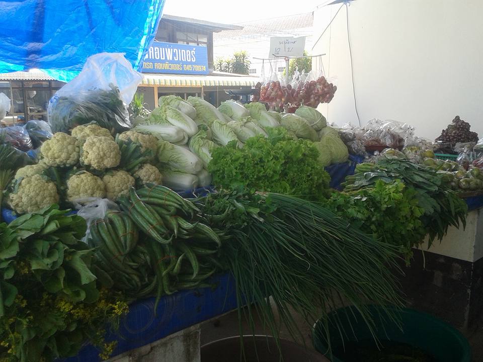 786_สินค้า 4.jpg