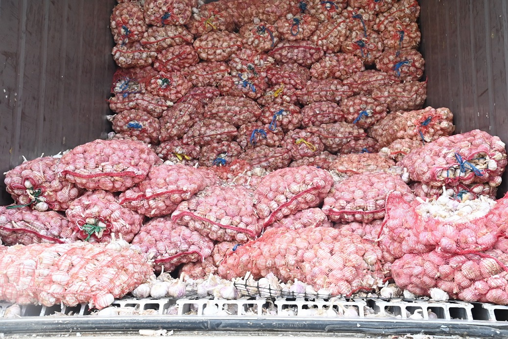 กรมการค้าภายในลุยจับดำเนินคดีผู้ลักลอบขนกระเทียมเถื่อน