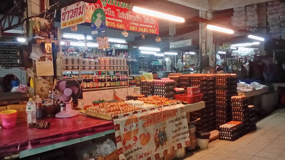 22898_แผงไข่.jpg