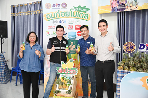 พาณิชย์นำผู้ประกอบการซื้อสับปะรดเชียงรายเป้าหมาย 16,500 ตัน