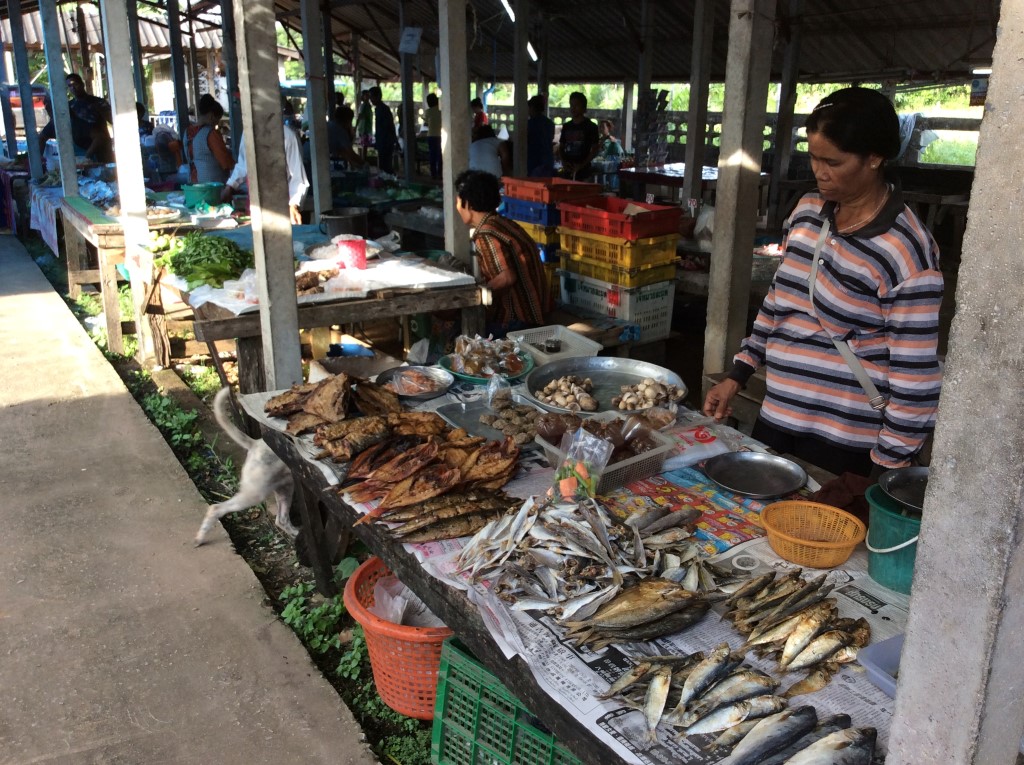 21653_แผงปลา.jpg