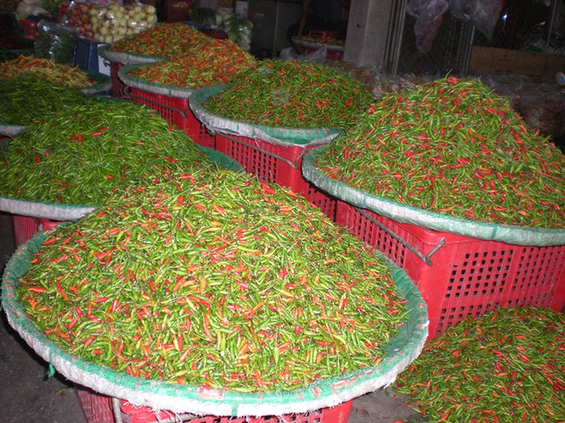 22100_พริก.JPG