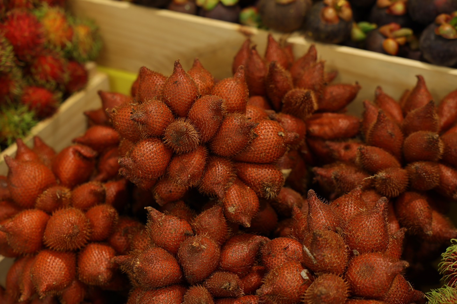 ข่าวเลขที่ 159/2569 “พาณิชย์ผนึกเซ็นทรัลพัฒนา จัดงาน Thailand Tropical Fruit Fiesta เชื่อมโยงผลไม้ไทยสู่ผู้บริโภค คาดจำหน่ายผลไม้กว่า 100 ตัน สร้างมูลค่าการค้ากว่า 10 ล้านบาท” (7 มิถุนายน 2569)