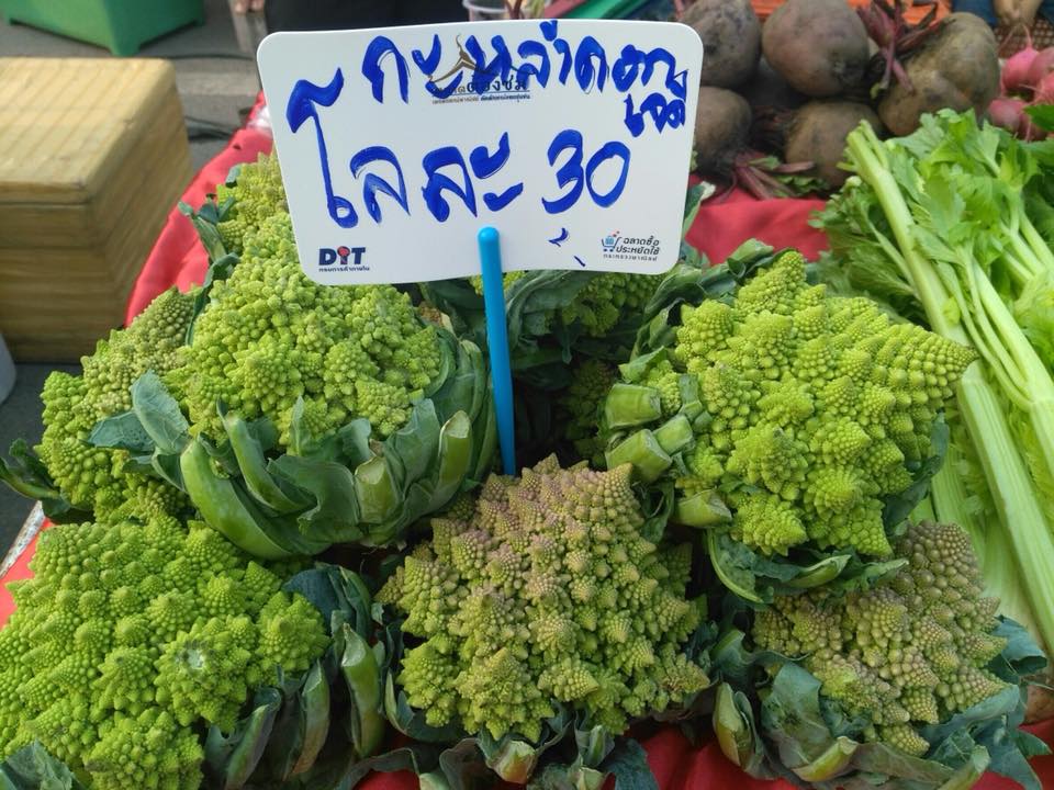 57367_แผงค้าผัก.jpg