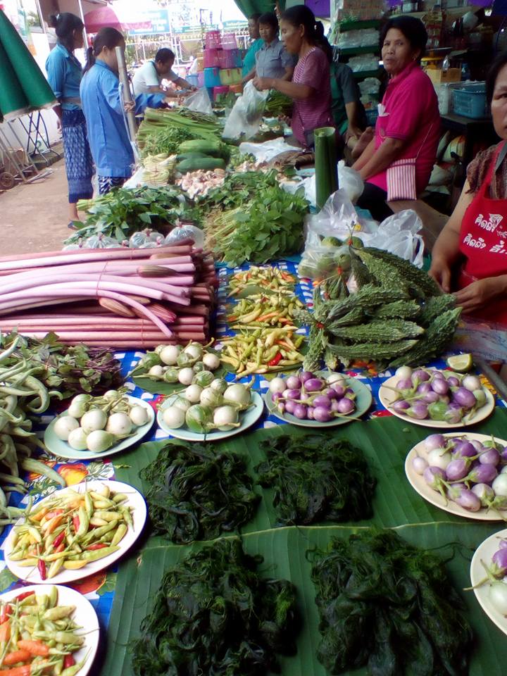 34028_แผงค้า ของป่า.jpg