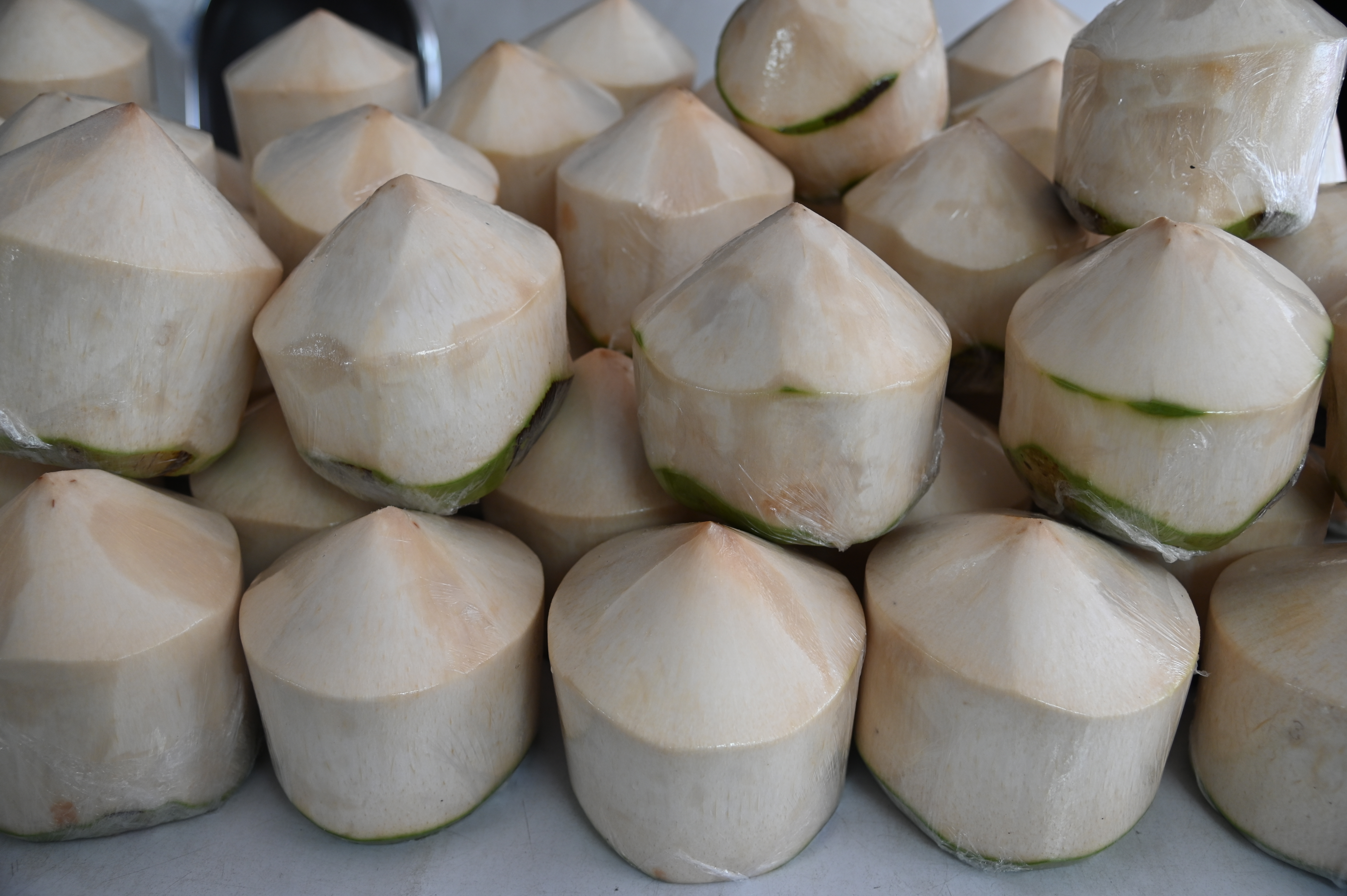 ข่าวเลขที่ 64/2569 พาณิชย์เร่งช่วยเกษตรกรผู้ปลูกมะพร้าวน้ำหอม เดินหน้ากระจายผลผลิตออกนอกแหล่งผ่านกลไกตลาดค้าส่งค้าปลีก เชื่อมโยงแหล่งท่องเที่ยว พร้อมเปิด 20 จุด กระจายกว่า 200,000 ลูกทั่ว กทม.–ปริมณฑล (26 มกราคม 2568)