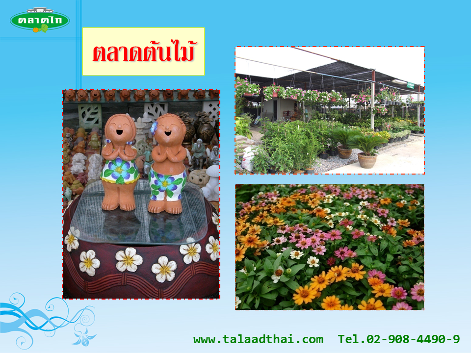 45127_ตลาดต้นไม้.PNG
