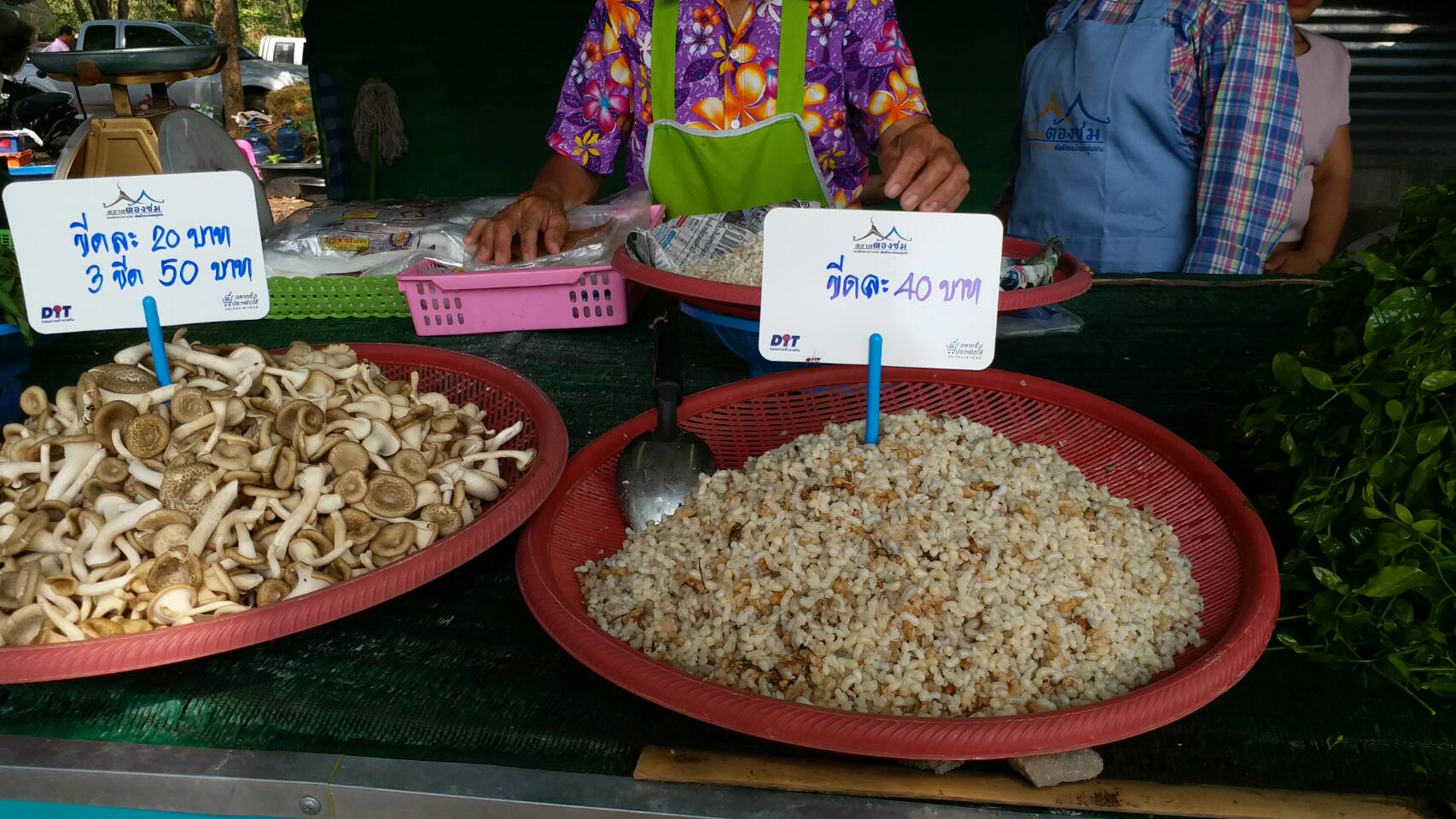 67443_แผงค้าอาหาร.jpg