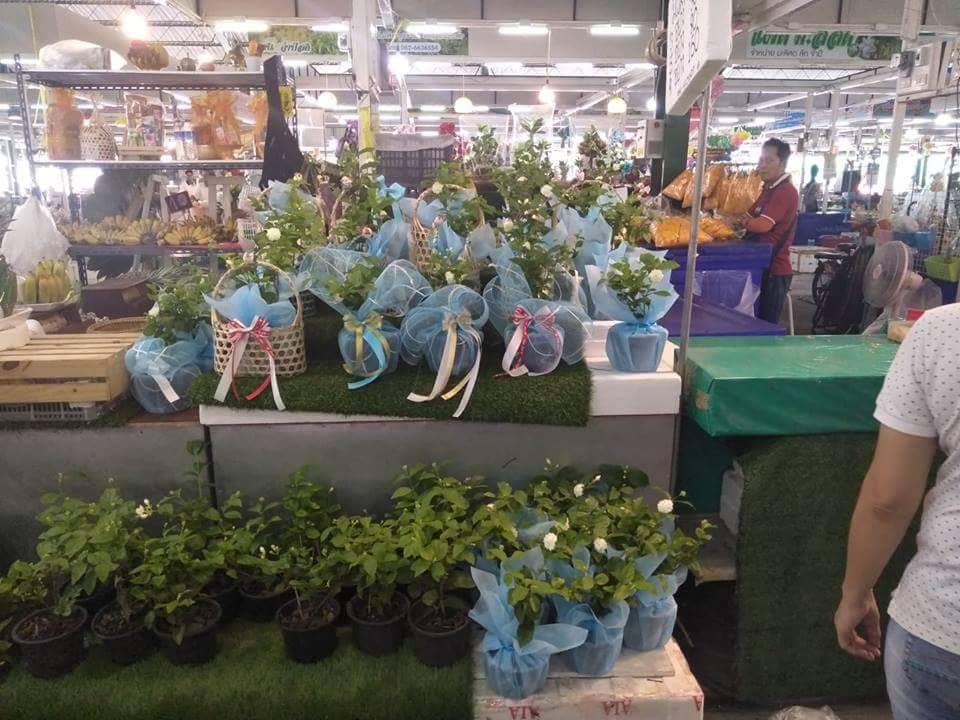 78133_แผงค้าไม้ดอก.jpg