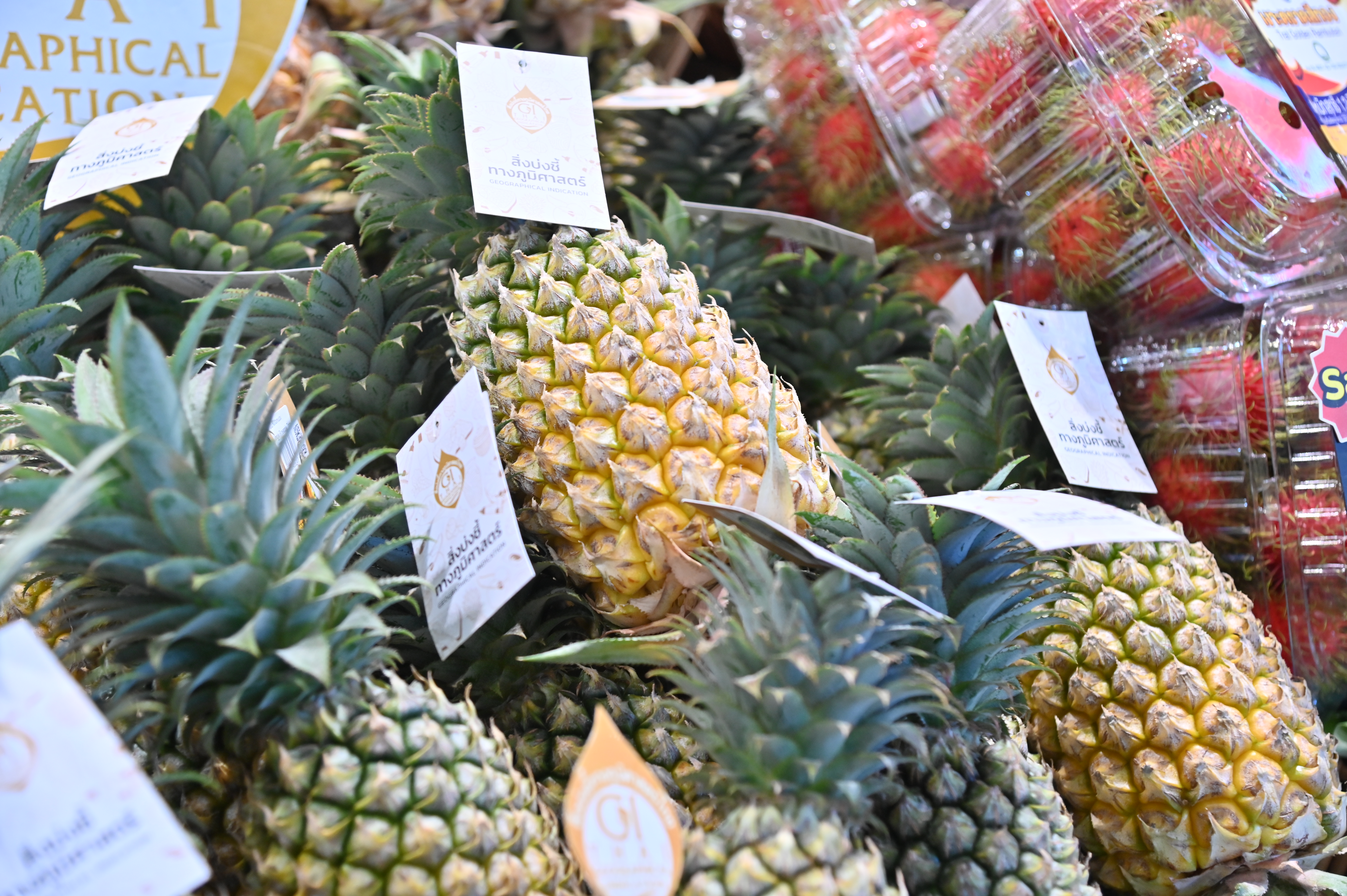 ข่าวเลขที่ 147/2569 กรมการค้าภายใน ขับเคลื่อน “Thailand : The Land of Tropical Fruits 2026” ดันผลไม้สดจากสวนสู่เมือง ผนึกท็อปส์ 760 สาขา รับซื้อผลไม้ภาคตะวันออกเพิ่ม 37% (26 พฤษภาคม 2569)