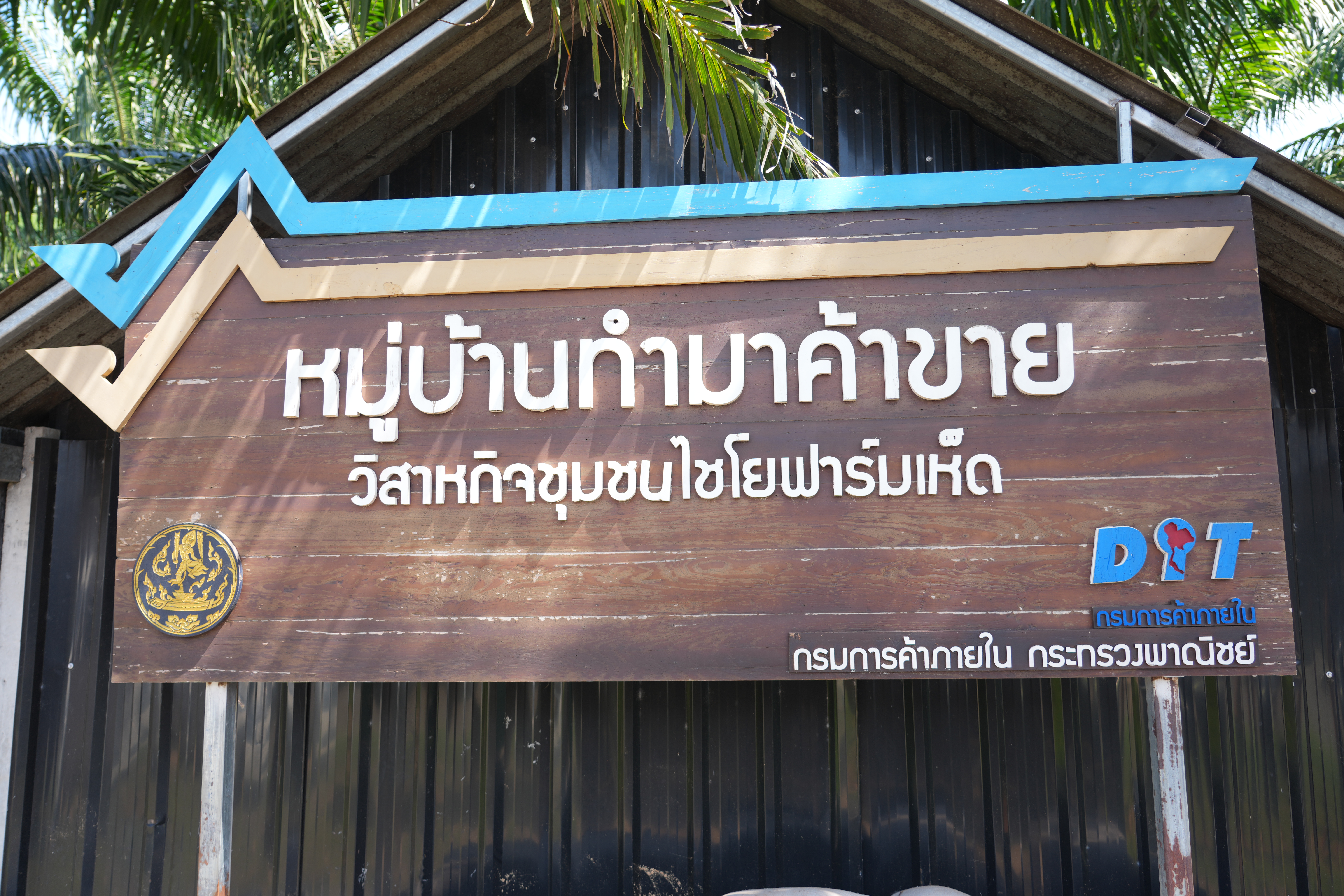 DIT ลุยภาคใต้ เปิดกิจกรรม "ไทยช่วยไทยพลัส : อร่อยมั่นใจ ผลไม้ไทยคุณภาพ" พร้อมตรวจเยี่ยมกลุ่มเกษตรกร วิสาหกิจชุมชนและลานประมูลมังคุด