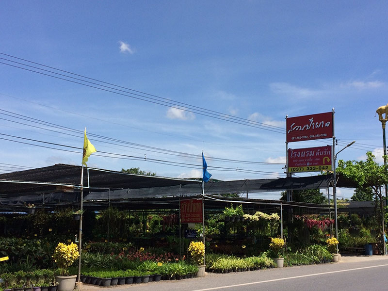 46536_ร้านดอกไม้.jpg