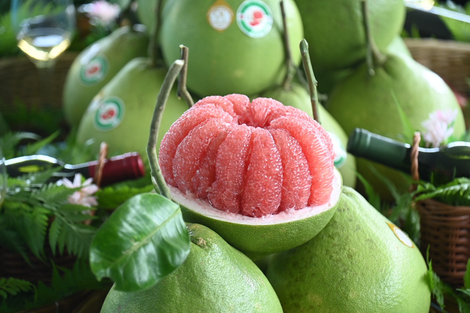 ข่าวเลขที่ 192/2569 “ศุภจี” นำทูต 13 ประเทศลุยสวนทุเรียนใต้ ชู “Thailand: The Land of Tropical Fruits” ชิม 9 สายพันธุ์ เจาะตลาด–สร้างดีมานด์ใหม่ ต่อยอด Fruit Tourism กระตุ้นบริโภค–เพิ่มยอดค้าผลไม้ไทย (9 สิงหาคม 2569)