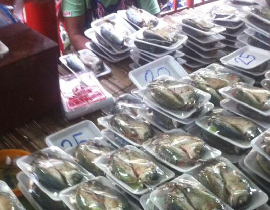 44661_ร้านขายปลาทู.JPG