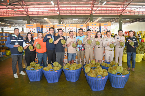 พาณิชย์ติดตามสถานการณ์ทุเรียนในพื้นที่จังหวัดชุมพร