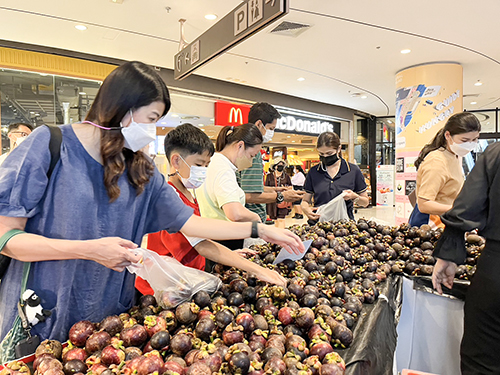  “Village To Town” นำสินค้าหมู่บ้านทำมาค้าขาย ตลาดต้องชม ขายคนกรุง-นักท่องเที่ยว