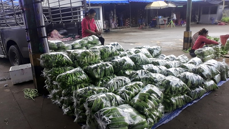22941_ขายส่งผัก.jpg