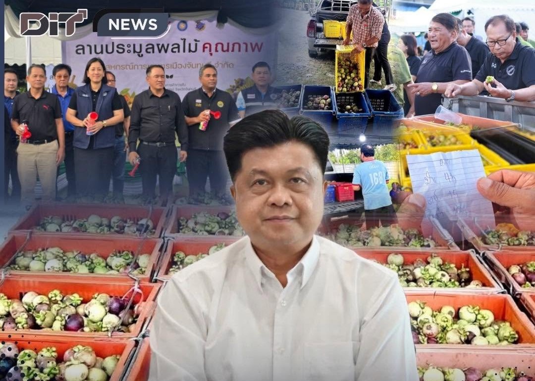ข่าวเลขที่ 157/2569 “พาณิชย์” เปิดลานประมูลมังคุดจันทบุรี สร้างอำนาจต่อรองเกษตรกร ขายได้ราคาตามคุณภาพ (6 มิถุนายน 2569)