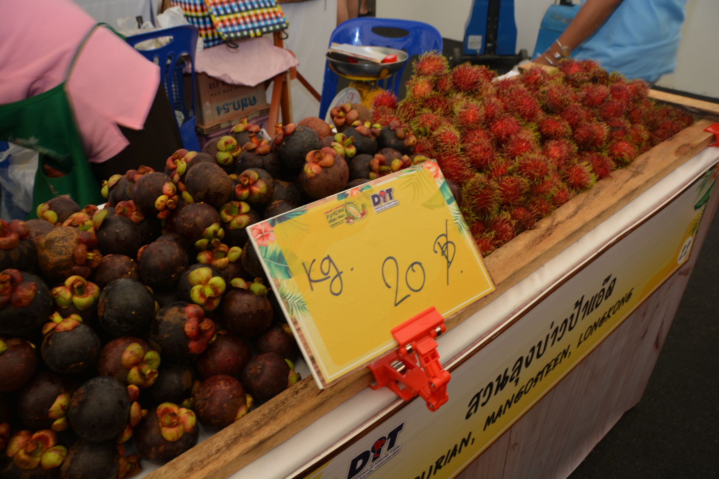 งาน “Thailand’s Amazing Durian and Fruit Fest 2019” 