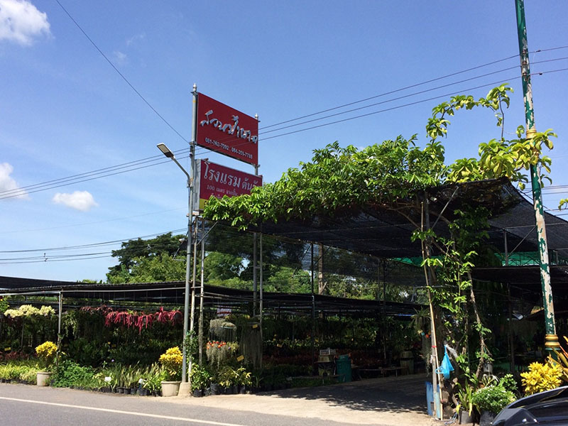46542_สวน.jpg