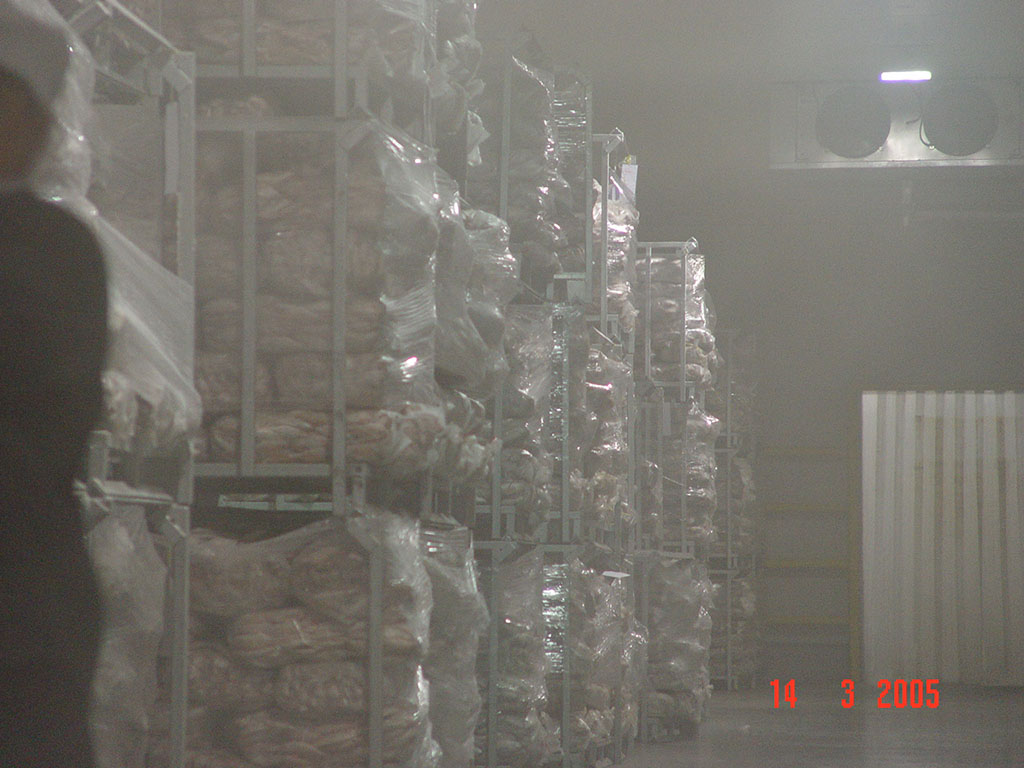qZUNf2ohL5s5nXp.JPG (1)