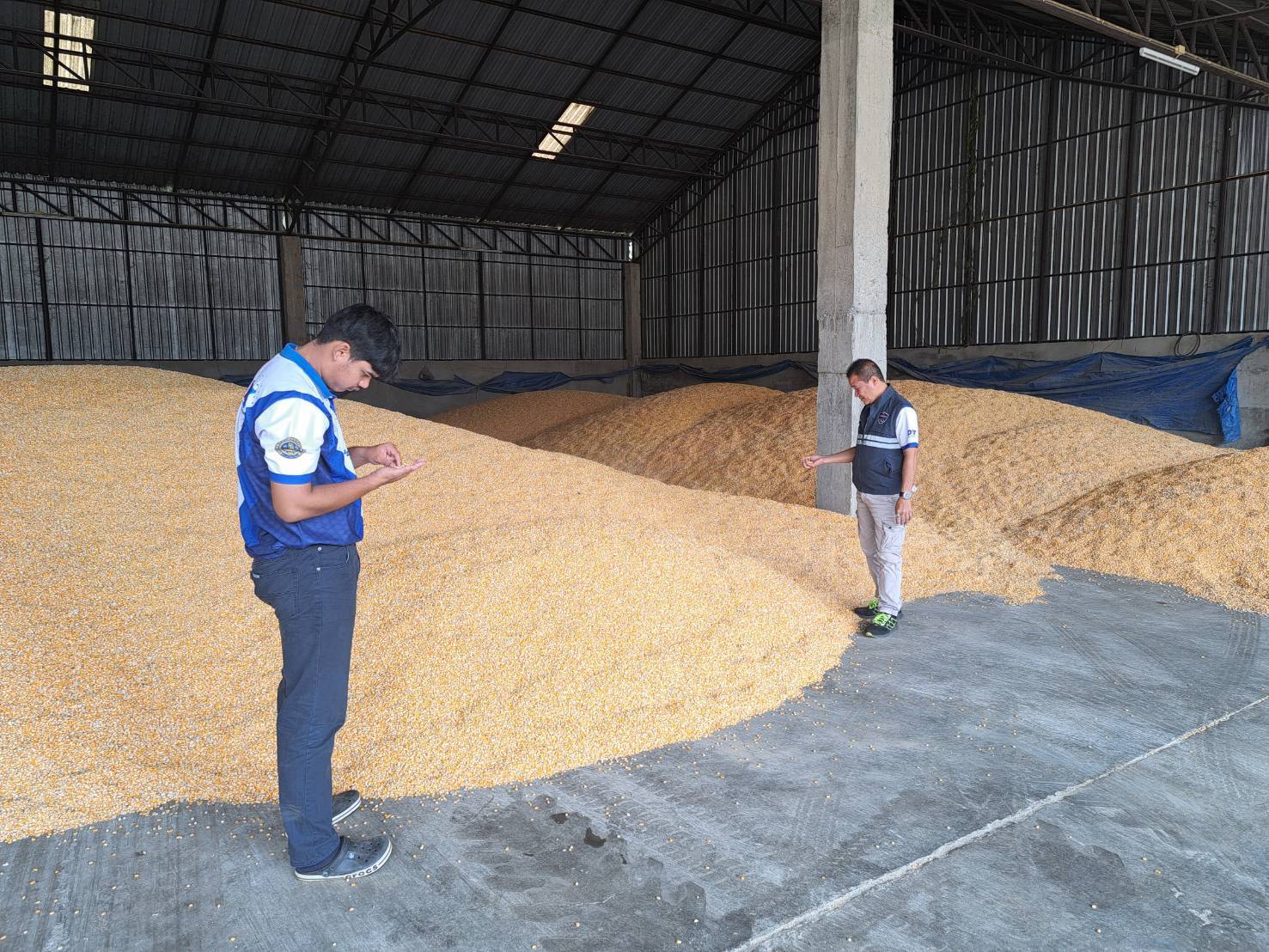 ข่าวเลขที่ 12/2569 DIT ระดมตรวจความถูกต้องเครื่องวัดความชื้นข้าวโพดทั่วประเทศ รักษาความเป็นธรรมให้เกษตรกร (18 ตุลาคม 2568)