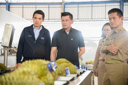 พาณิชย์ติดตามสถานการณ์ทุเรียนในพื้นที่จังหวัดชุมพร